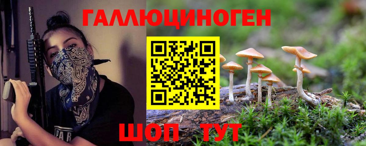 Галлюциногенные грибы GOLDEN TEACHER  Псилоцибиновые грибы MAGIC MUSHROOMS  Вход с VPN  Кемерово 