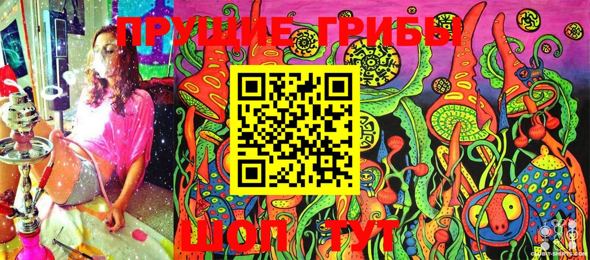 Псилоцибиновые грибы Psilocybine cubensis Кемерово
